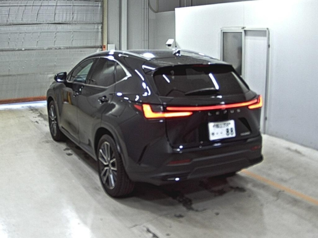 Lexus NX 2022