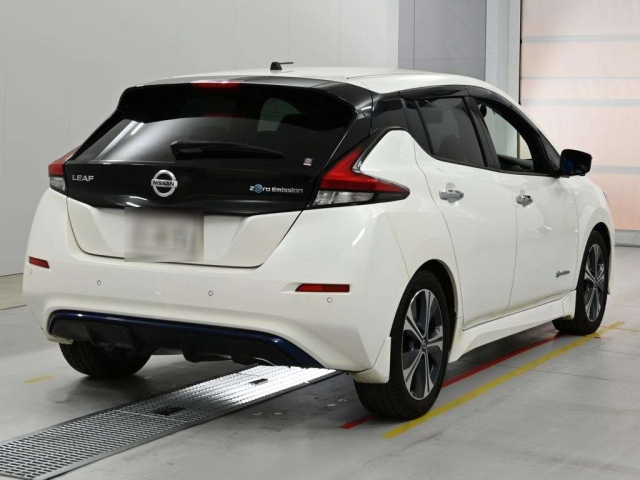Nissan Leaf 2019