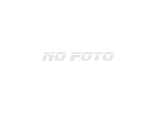 Harley-Davidson HARLEY FLSTC1580 2015