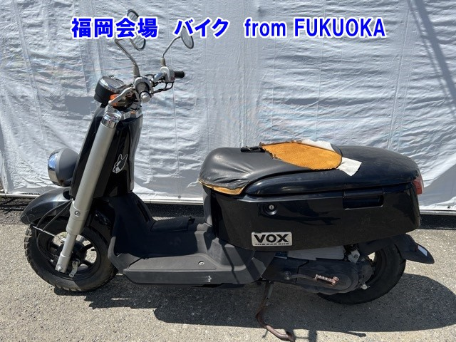 Yamaha VOX