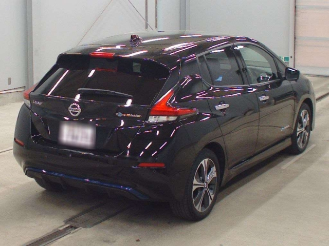 Nissan Leaf 2020
