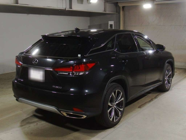 Lexus RX 2021