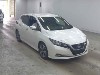 Nissan Leaf 2019