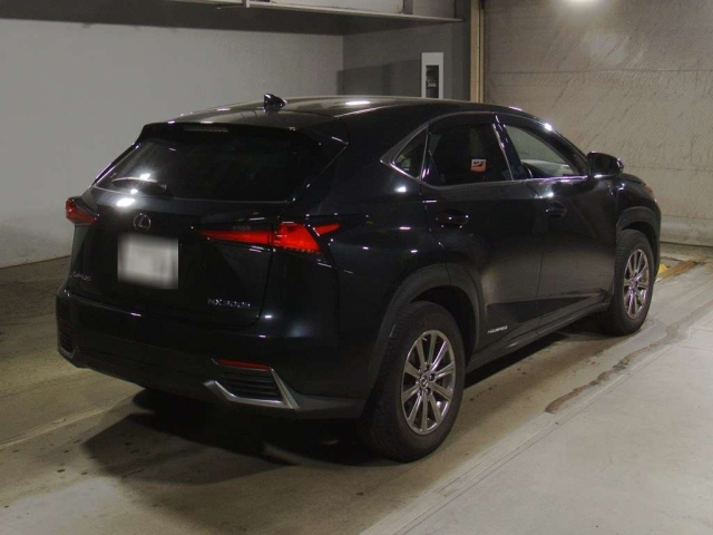 Lexus NX 2020